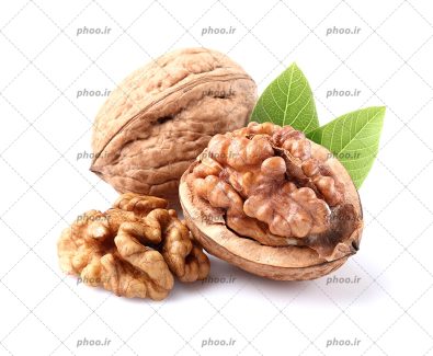 عکس با کفیت دو برگ سبز در کنار گردوی شکسته و مغز گردو و گردو سر بسته در بک گراند سفید