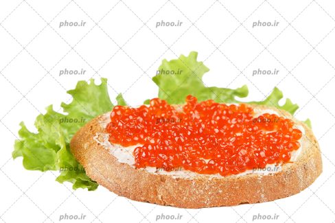 عکس با کیفیت خاویار قرمز بر روی نون تست و پر کاهو در کنارش