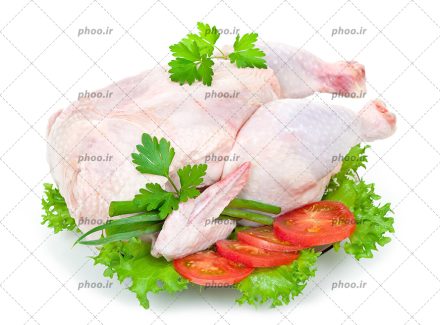 عکس با کیفیت مرغ درسته خام تزئین شده با جعفری و گوجه های برش خورده