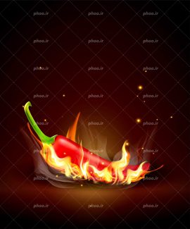 عکس با کیفیت یک فلفل قرمز آتشین در بک گراند مشکی