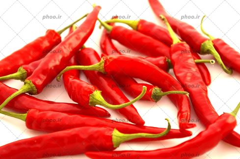 عکس با کیفیت فلفل های قرمز تند و تازه در کنار یکدیگر در پس زمینه سفید