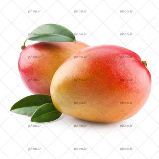 عکس با کیفیت دو شلیل تازه و خوشمزه در کنار یکیدگر همراه با برگ در پس زمین سبز