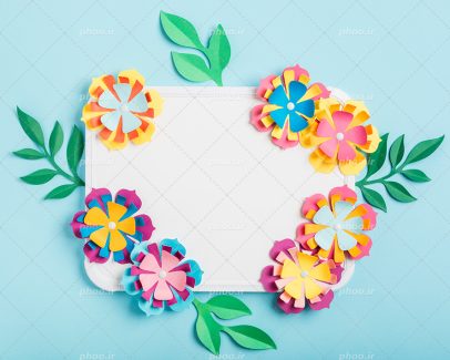 عکس با کیفیت گل های رنگارنگ زرد و نارنجی و صورتی و بنفش همراه با برگ در زمینه سفید و آبی