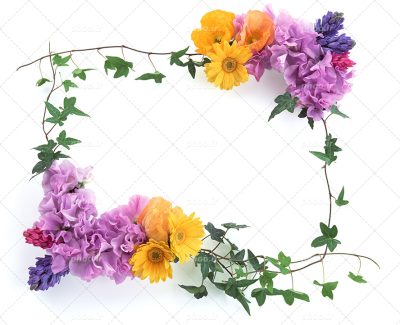 عکس با کیفیت گل های زرد و بنفش همراه با گل به شکل قاب