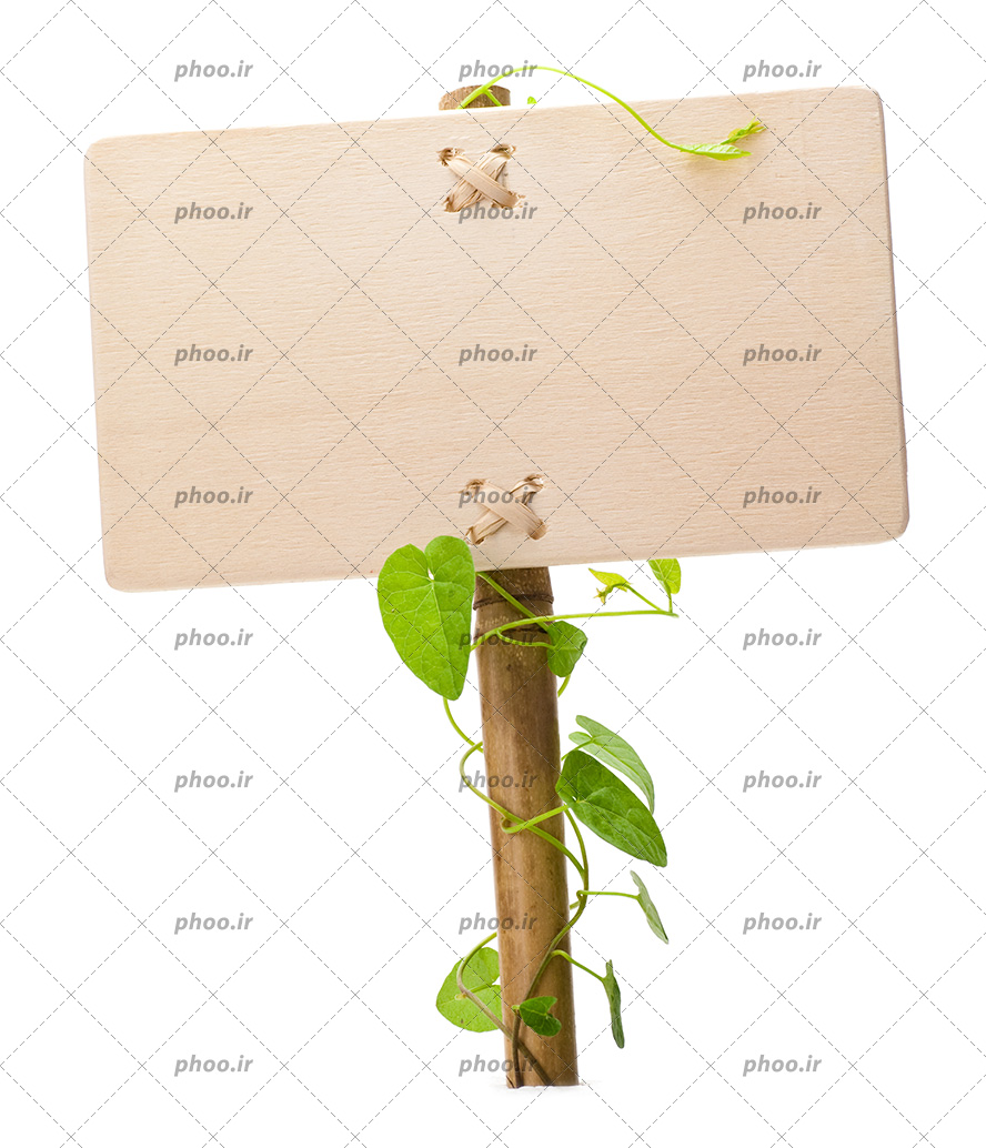 عکس با کیفیت تابلو چوبی و در اطراف آن گل پوتوس روییده است