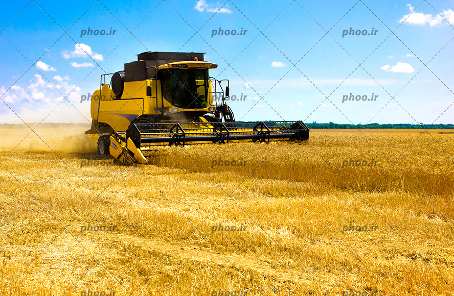 عکس با کیفیت ماشین کمباین به رنگ زرد در حال درو گندوم های طلایی رنگ و آسمان آبی