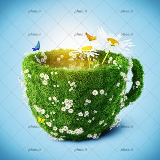 عکس با کیفیت فنجان تشکیل شده از گل های بابونه و علف های سرسبز و دو پروانه ی زیبا و پس زمینه به رنگ آبی
