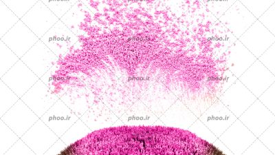 عکس با کیفیت پودر رژگونه به رنگ صورتی بر روی براش از نمای نزدیک