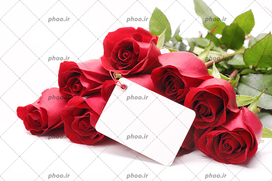 عکس با کیفیت دسته گل رز و کارت سفید در کنار گل ها و پس زمینه به رنگ سفید