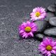 سبد خرید و پرداخت