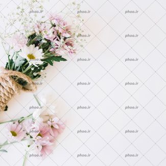 عکس با کیفیت دسته گل زیبا در پس زمینه سفید و چند شاخه گل در کنارش