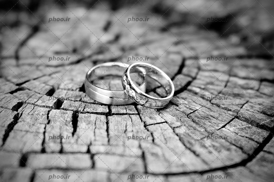 عکس با کیفیت دو حلقه ازدواج به رنگ نقره ای بر روی تنه درخت