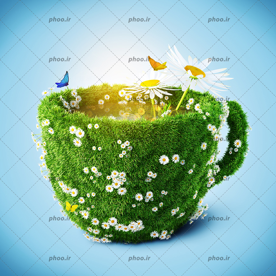 عکس با کیفیت فنجان پوشیده شده از چمن سبز و گل های بابونه و پروانه آبی و نارنجی نشسته بر روی گل