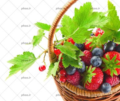 عکس با کیفیت بلوبری و توت فرنگی و تمشک در سبد حصیری قهوه ای در پس زمینه سفید رنگ