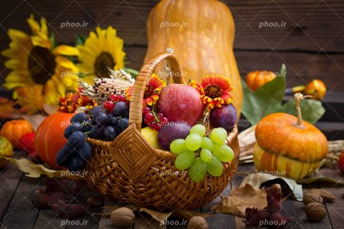 عکس با کیفیت گل آفتابگردان و کدو تنبل های نارنجی و گردو های ریخته شده روی زمین در کنار سبدی حصیری حاوی میوه جات