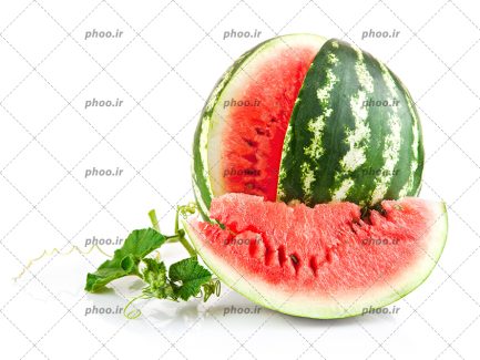 عکس با کیفیت یک قاچ از هندوانه در کنارش و برگ های بوته هندوانه در کنار آنها در پس زمینه سفید