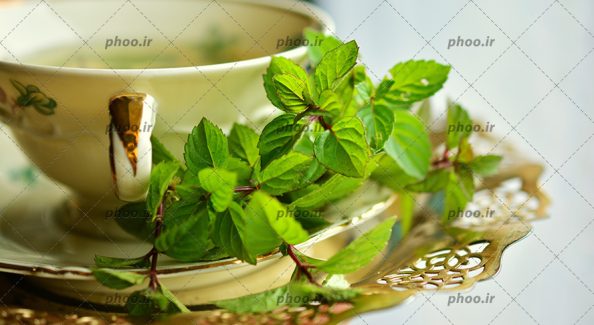 عکس با کیفیت ریحان در کنار فنجان زیبا برای تزئین از نمای نزدیک