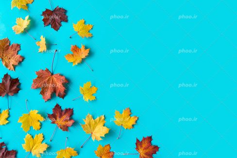 عکس با کیفیت برگ های زرد و نارنجیو قهوه ای در پس زمینه ی آبی فیروزه ای