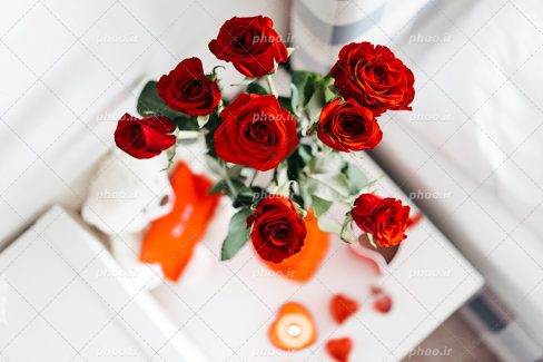 عکس با کیفیت و زیبا گل های رز زیبا از نمای بالا داخل گلدان و در کنار خرس عروسکی و چند شمع قلبی