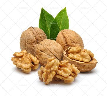 عکس با کیفیت تعدادی گردو بدون پوست در کنار گردو های دیگر و برگ های درخت گردو در پس زمینه سفید