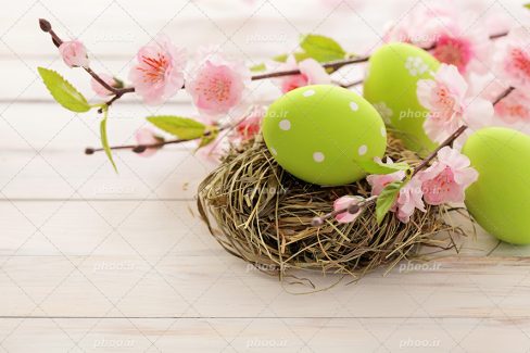 عکس با کیفیت میز چوبی و لانه پرنده روب آن و روی لانه پرنده تخم مرغ های رنگی سبز و شاخه های پر شکوفه صورتی