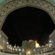 عکس حیوانات اسب درحال دویدن در طبیعت زیبا