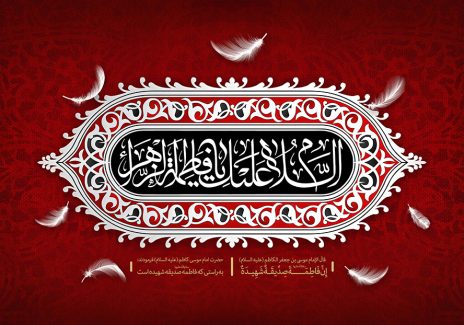 عکس با کیفیت پس زمین به رنگ قرمز و قاب با کادر سفید و چند پر سفید در اطراف قاب