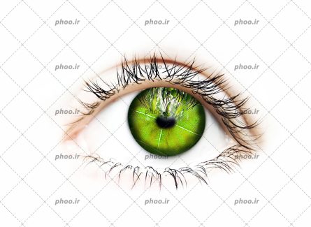 عکس با کیفیت چشم زیبا به رنگ سبز با مژه های طبیعی بلند از نمای نزدیک