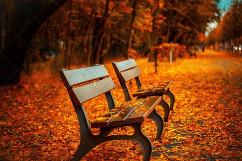 عکس با کیفیت نیمکت چوبی در فضای طبیعت زیبای پاییزی