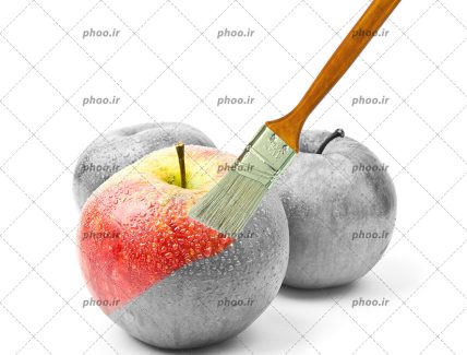 عکس با کیفیت قلمو در حال رنگ کردن سیب ها