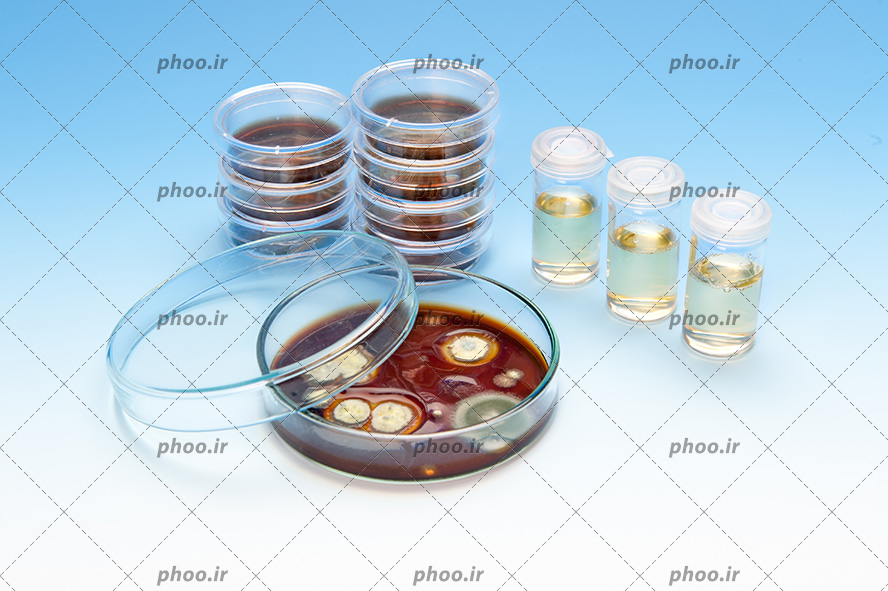 عکس با کیفیت شیشه های آزمایشگاه چیده شده در کنار یکدیگر