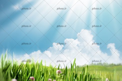 عکس با کیفیت لایت باکس زیبا با تصویر چمن سرسبز و آسمان آبی
