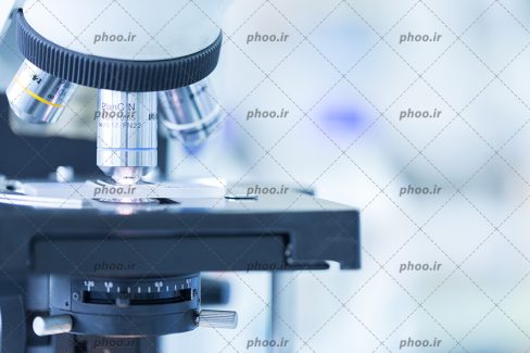 عکس با کیفیت میکروسکوپ از نمای نزدیک