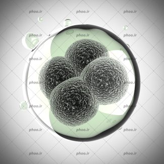 عکس با کیفیت سلول های خاکستری داخل حباب شیشه ای