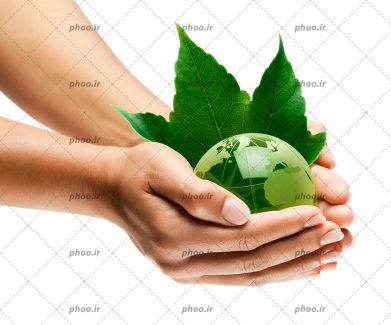 عکس با کیفیت دستان زن و کره زمین سبز رنگ در آن و برگ های زیبا در کنارش