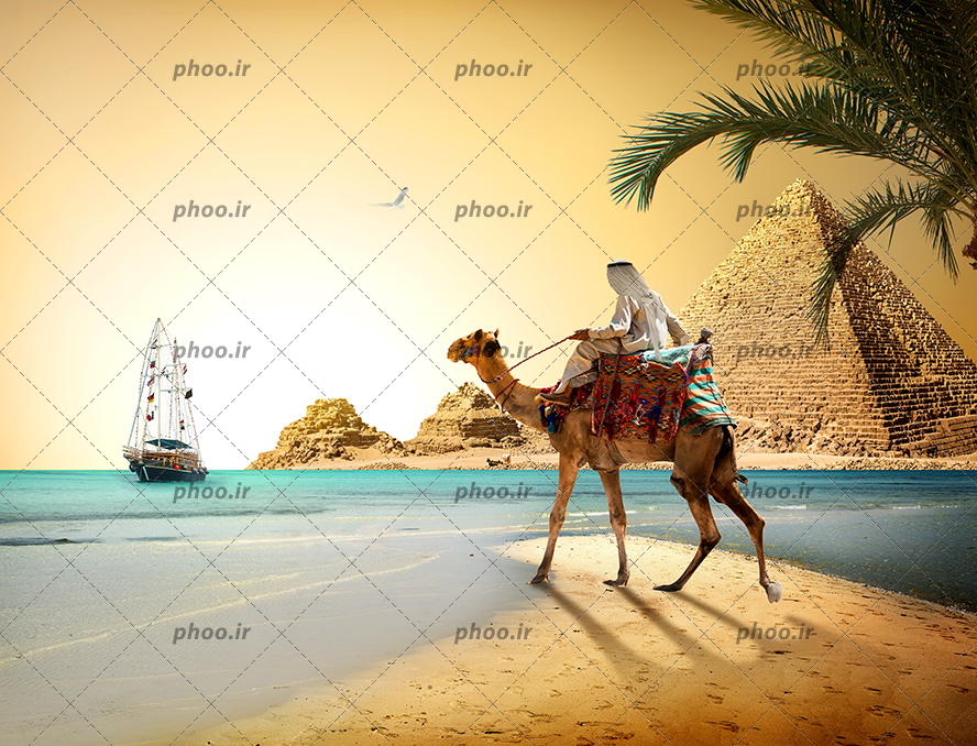 عکس با کیفیت مرد با لباس های سفید بر روی شتر در کنار رود و قایق بر روی آب ها و آن طرف رود اهرام مصر