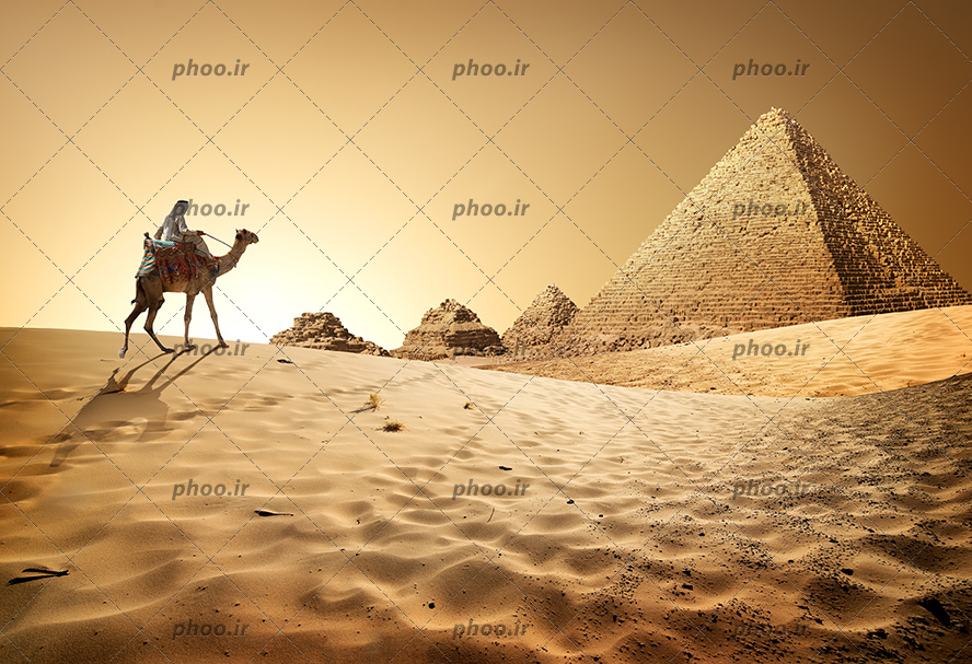 عکس با کیفیت مرد سوار بر روی شتر در کویر در حال رفتن به سمت اهرام مصر
