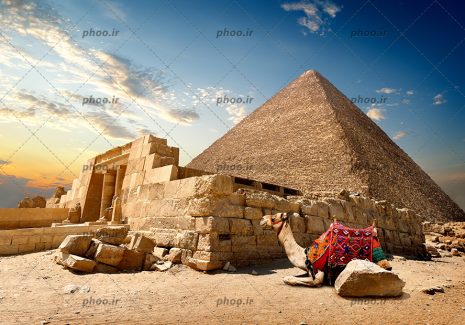 عکس با کیفیت اهرام مصر زیبا و شتری با زین به رنگ قرمز نشسته در کنار اهرام ها