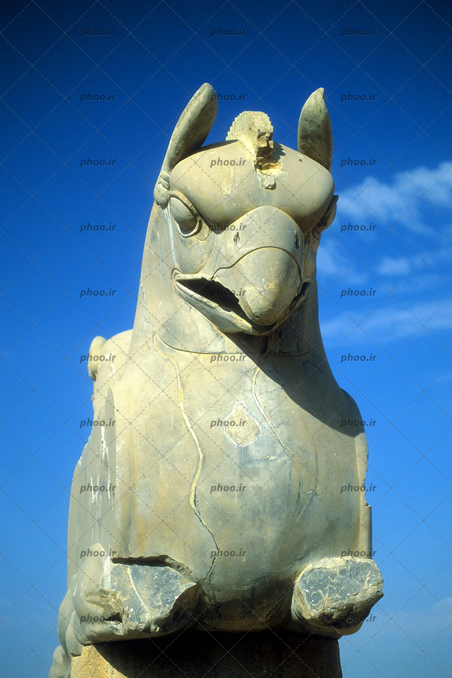 عکس مجسمه گریفین یا (شیردال) یکی از مجسمه های قدیمی در تخت جمشید از نمای جلو