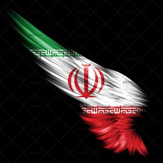 عکس یک پرچم ایران در تاریکی که به شکل گل برگ های زیبا نقاشی شده است