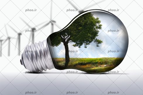 عکس یک لامپ که در آن درختی سرسبز با آسمانی ابری است