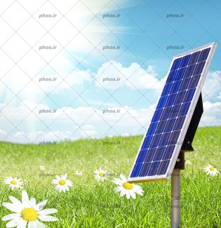 عکس یک پنل خورشیدی در یک زمین سر سبز با گل های بابونه در مقابل خورشید