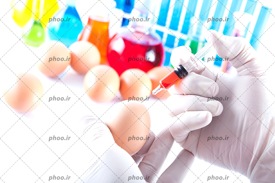 عکس آزمایشگاه و تزریق ماده قرمز رنگ به تخم مرغ