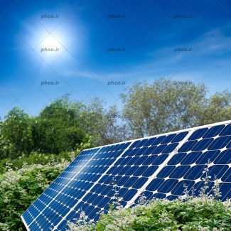 عکس با کیفیت صفحه خورشیدی در لا به لای گل و بوته