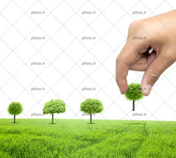 عکس با کیفیت دست مرد در حال کاشت درخت های سبز کوچک در چمن های سبز