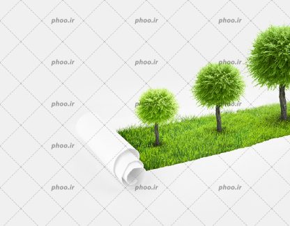 عکس با کیفیت سه درخت کوچک و متوسط و بزرگ در کار یکدیگر در پس زمینه سفید