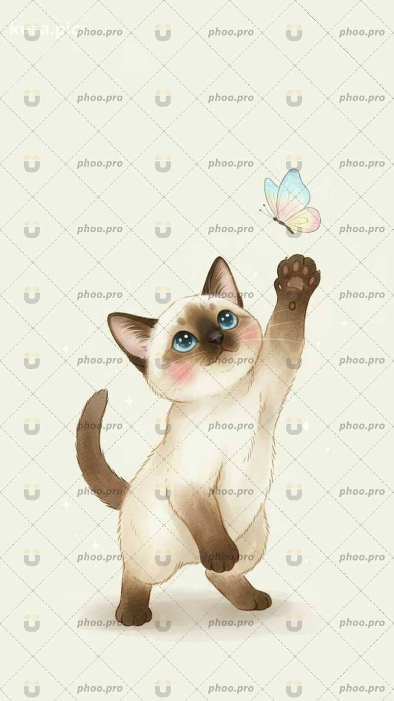 گربه و پروانه