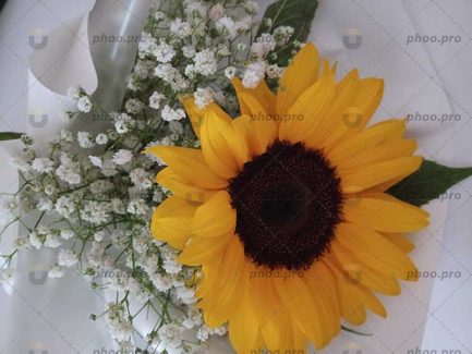 هدیهای از طبیعت