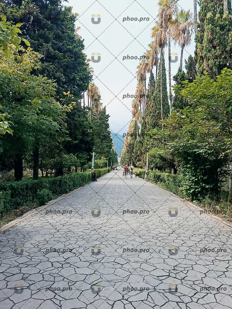 طبیعت زیبای رامسر