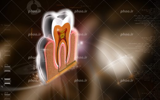 عکس با کیفیت اناتومی دندان در پس زمینه مشکی